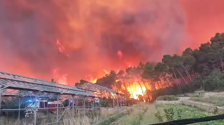 Catastrophes climatiques : l’OFCE alerte sur leur récurrence et leurs effets sur l’économie française