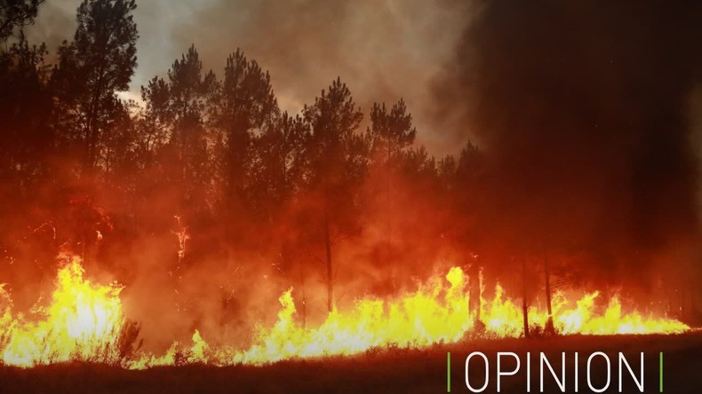 Nos forêts brûlent, et Macron et l’UE y sont pour quelque chose