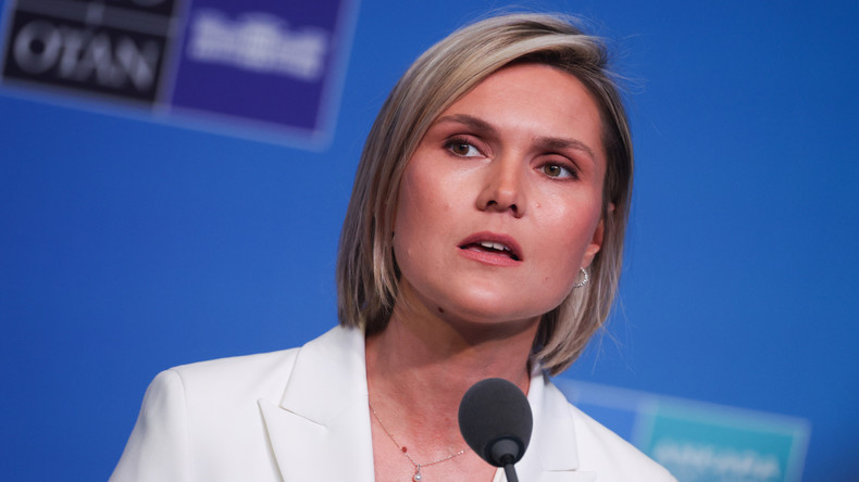 Ingérence étrangère : l'Islande aurait demandé à Bruxelles de ne pas s'immiscer dans son référendum sur l'UE
