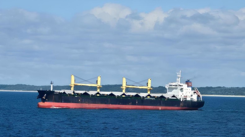 Les propriétaires du cargo turc attaqué par l'Ukraine préparent une action en justice devant la CPI, selon les médias