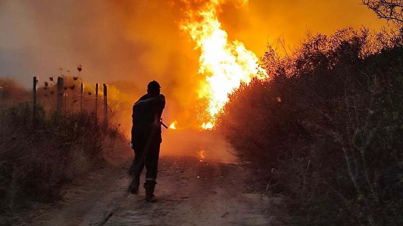 Algérie : Abdelmadjid Tebboune ordonne la réinstauration de la peine capitale contre les auteurs d’incendies volontaires