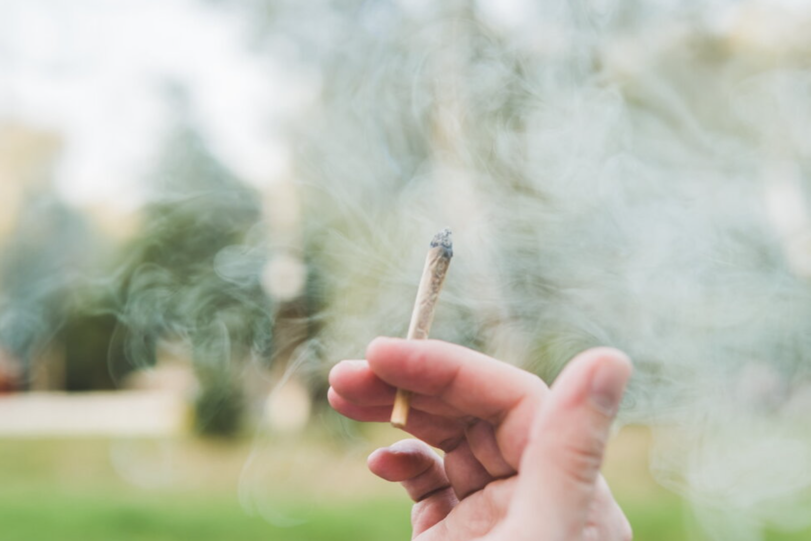 États-Unis : 17% des adultes américains déclarent fumer du cannabis selon Gallup