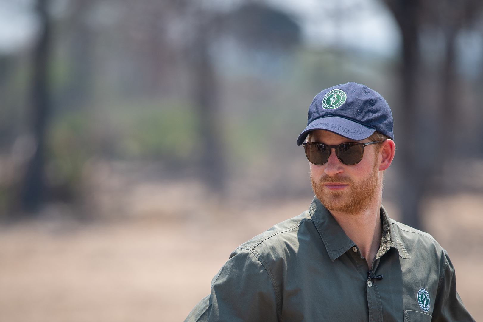 Le prince Harry démissionne d'African Parks sur fond de scandales de violences