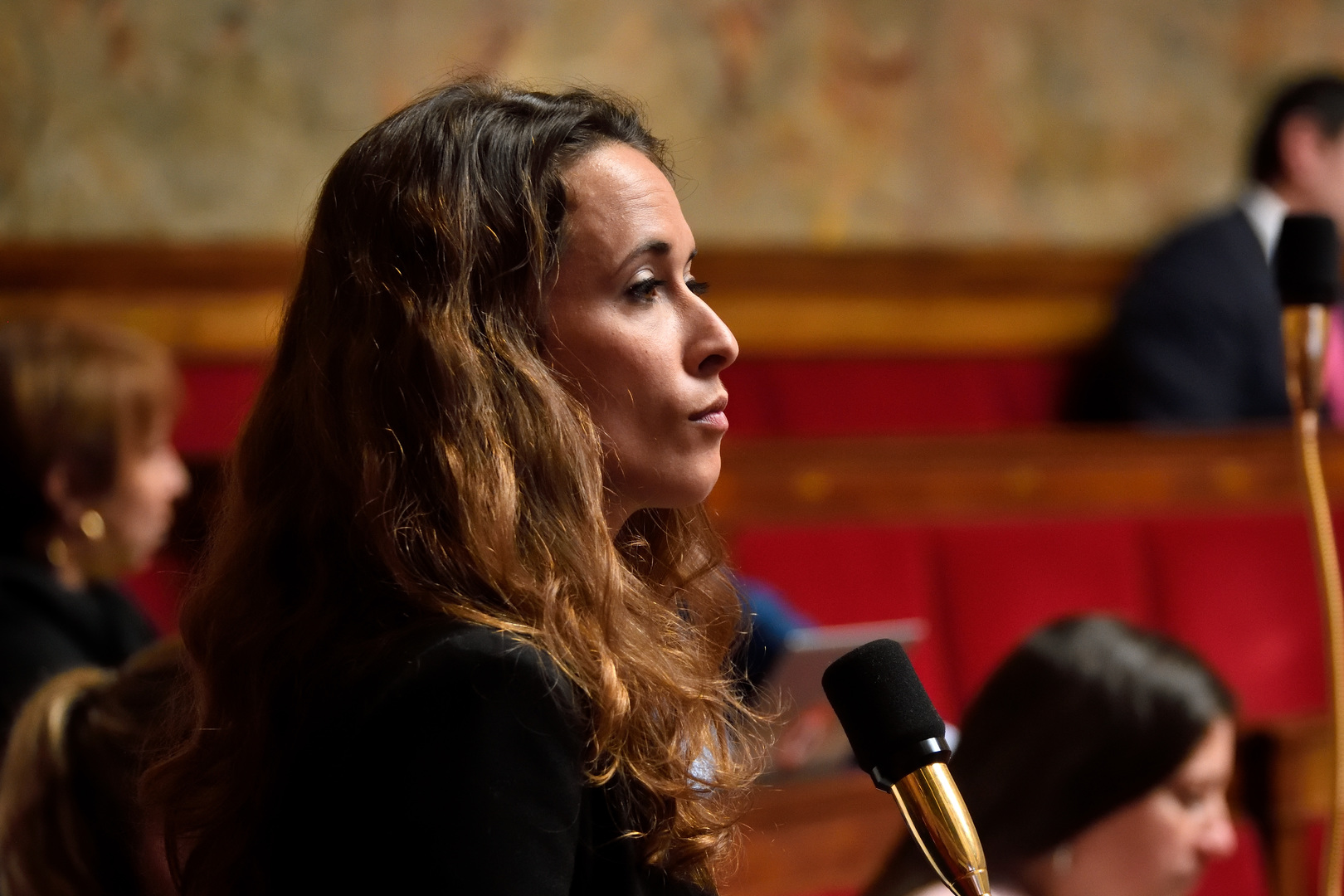 France : soutenir la famille «traditionnelle» est «une forme d’extrême-droitisation de la société», estime une députée LFI