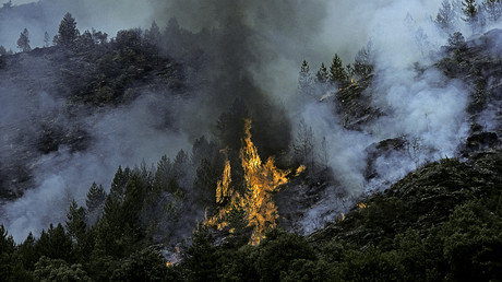 Incendies et canicules : l'Europe a déjà perdu 3,1 milliards d'euros
