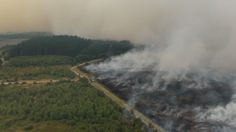 Belgique : 3 000 hectares ravagés dans les Hautes Fagnes par l'un des pires incendies de l’histoire du pays