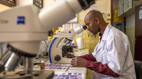 Un chercheur analysant un frottis sanguin au microscope