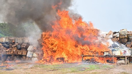 Nigeria : plus de 329 tonnes de stupéfiants détruits dans le cadre de la lutte contre le trafic de drogue
