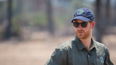 Le prince Harry démissionne d'African Parks sur fond de scandales de violences