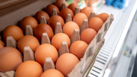 Salmonellose au Royaume-Uni : des œufs importés d'Ukraine soupçonnés d'être à l'origine de l'épidémie