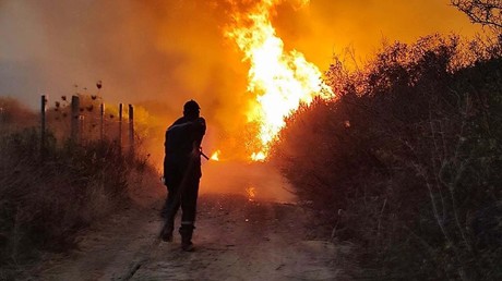 Algérie : Abdelmadjid Tebboune ordonne la réinstauration de la peine capitale contre les auteurs d’incendies volontaires