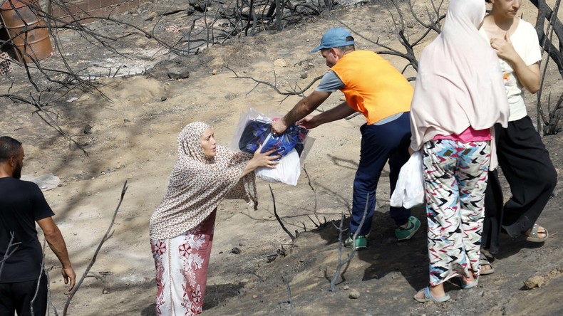 Reconstruction après les incendies : l'Algérie dévoile un plan d'urgence en cinq points