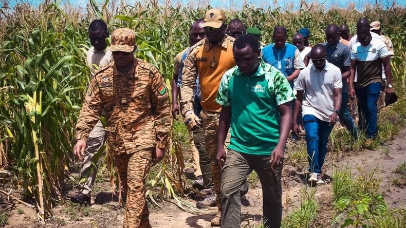 Burkina Faso : le retour des pluies relance les espoirs pour la campagne agropastorale 2026-2027