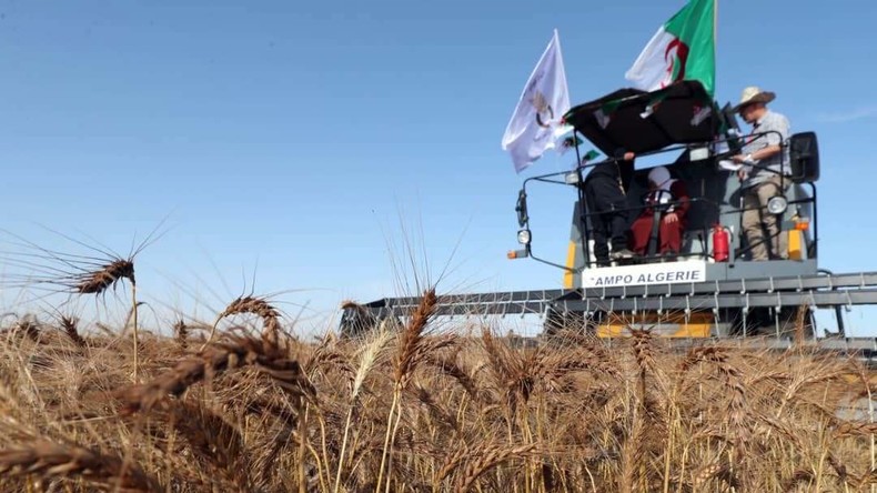 Algérie-Italie : le méga-projet agricole de Timimoun accélère avec 420 millions d’euros d’investissement