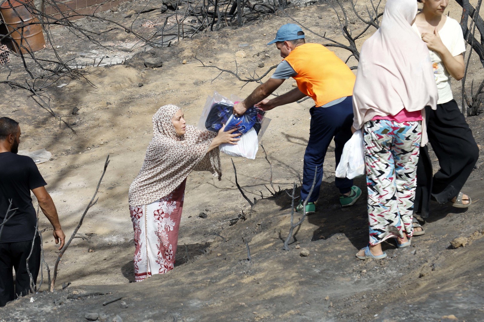 Reconstruction après les incendies : l'Algérie dévoile un plan d'urgence en cinq points