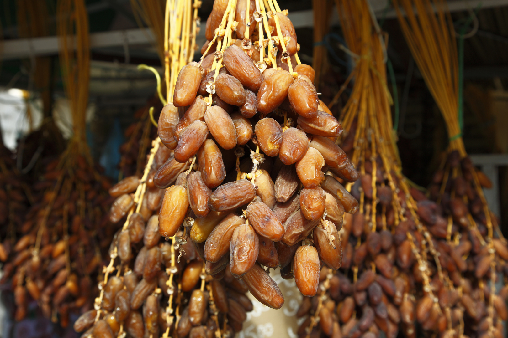 Tunisie : des exportations de dattes record durant la saison 2025–2026