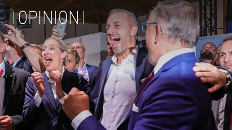 Triomphe de l'AfD : la transformation de l'Europe a commencé