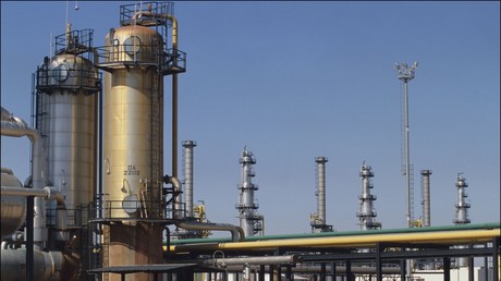 Dans le Sahara, l'Algérie mise 3,5 milliards de dollars sur son autosuffisance laitière