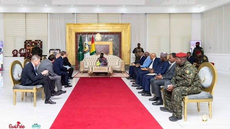 Guinée : la Russie veut accompagner la transformation locale des minerais