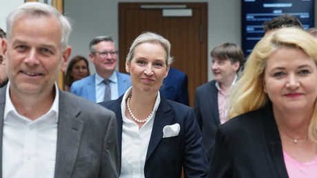 Allemagne : lourde défaite pour le parti de Friedrich Merz aux élections régionales