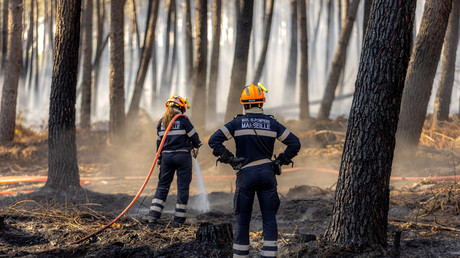 Près de 100 000 hectares brûlés en France : un record depuis 1976