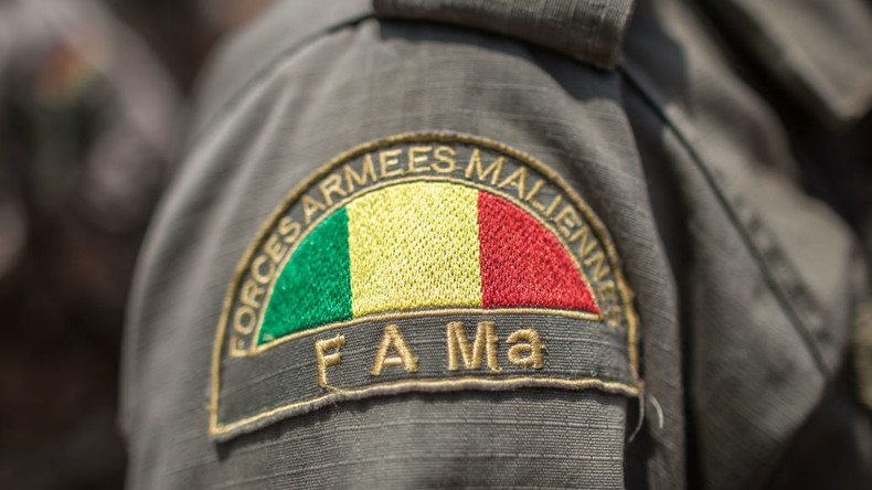 Mali : les forces armées maliennes ciblent deux positions de terroristes à Ménaka et Douentza