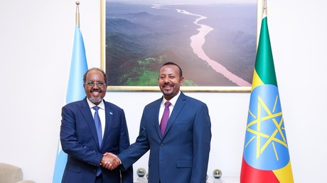 La Somalie prête à ouvrir deux ou trois de ses ports à l’Éthiopie