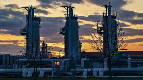 Gaz : la Russie prête à contribuer au «développement global des secteurs énergétiques des pays africains»