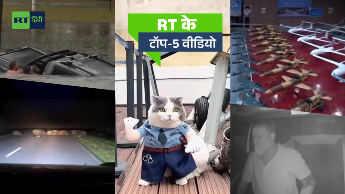 पुलिस वाली बिल्ली, रिपोर्टिंग छोड़ शख्स को बचाने कूदा रिपोर्टर... RT के टॉप वीडियो