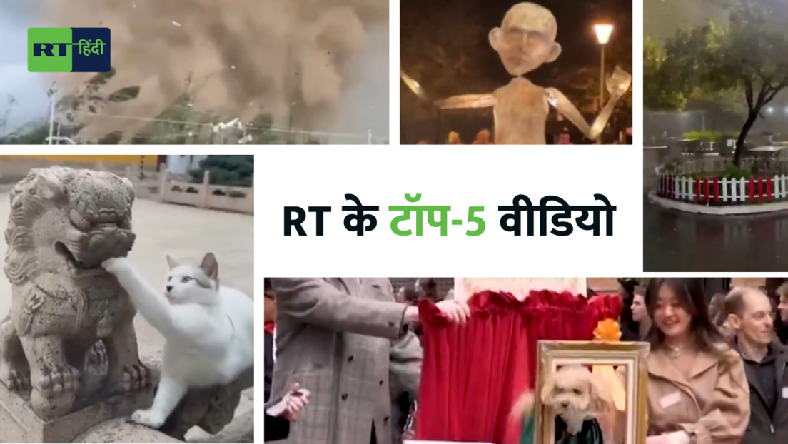 कहीं बवंडर का कहर, कहीं कुत्तों का गजब फैशन… देखिए RT के टॉप वीडियो