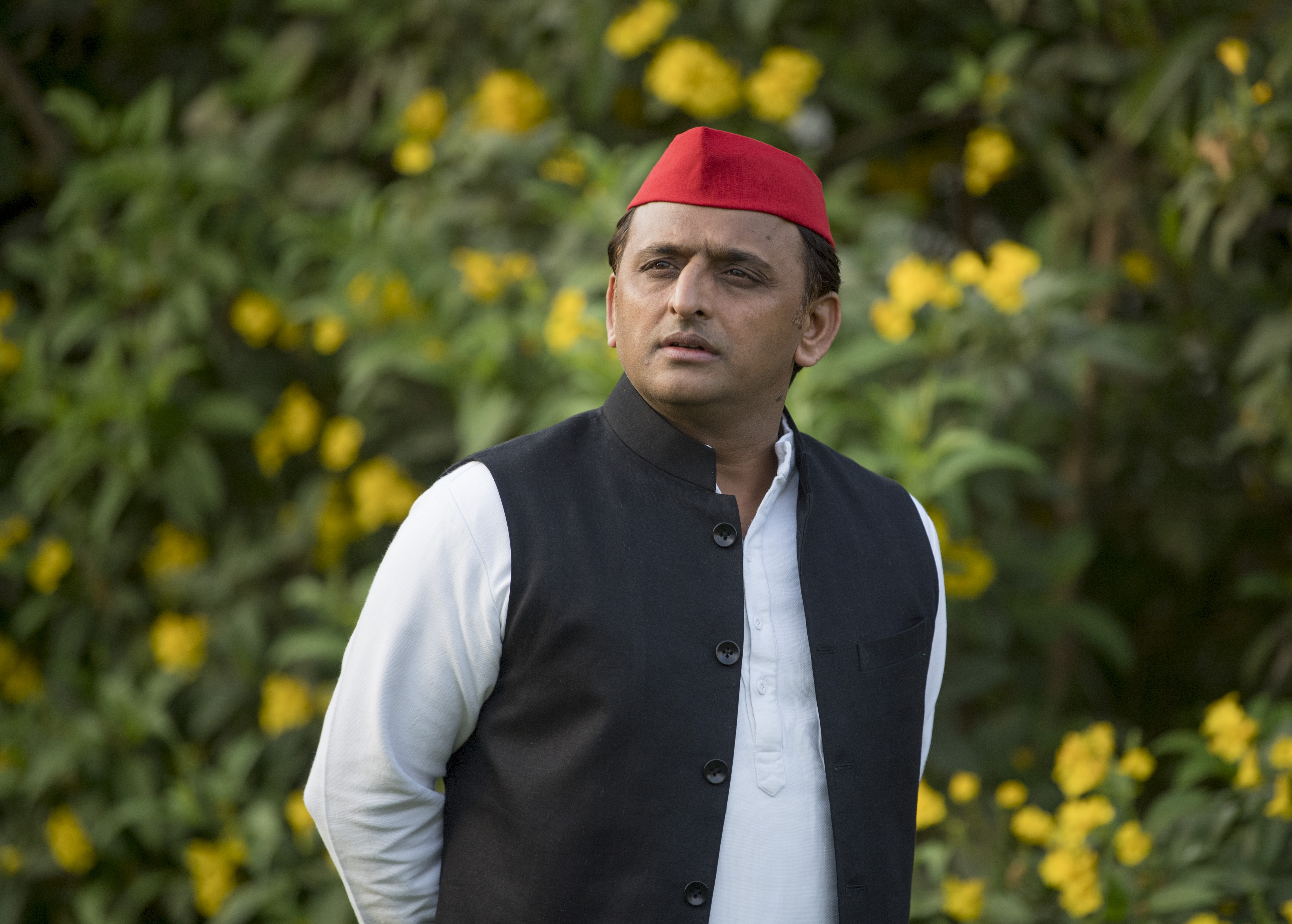 अखिलेश यादव, समाजवादी पार्टी प्रमुख