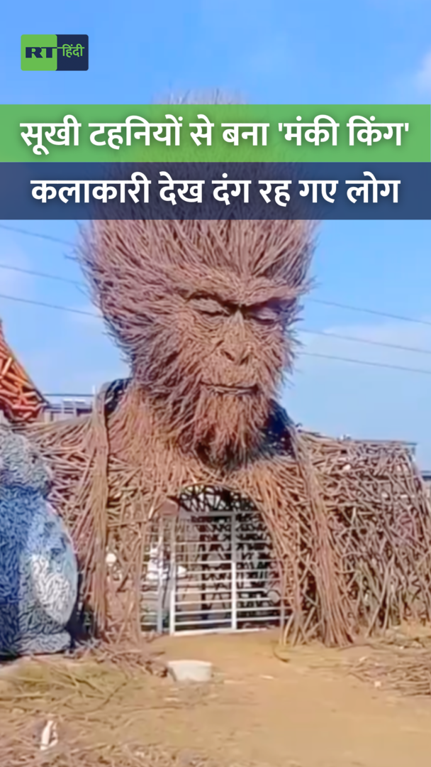 सूखी टहनियों से बना 'मंकी किंग', चीनी कलाकार ने इंटरनेट पर मचाई धूम