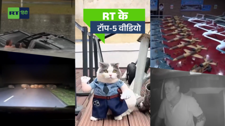 पुलिस वाली बिल्ली, रिपोर्टिंग छोड़ शख्स को बचाने कूदा रिपोर्टर... RT के टॉप वीडियो