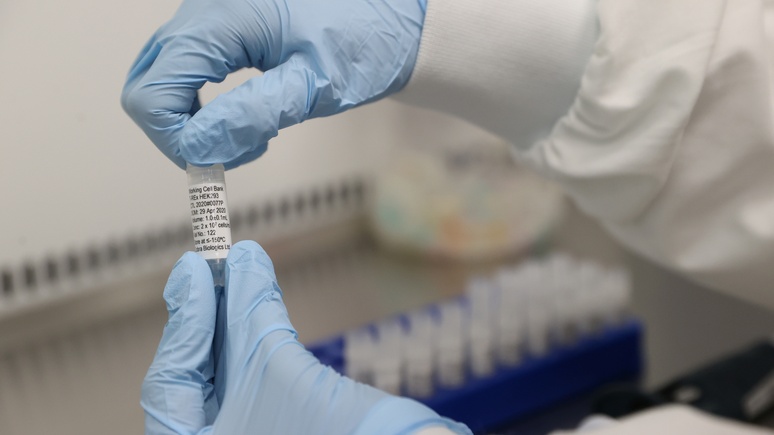Guardian: британские учёные выяснили — иммунитет к COVID-19 может исчезнуть через несколько месяцев