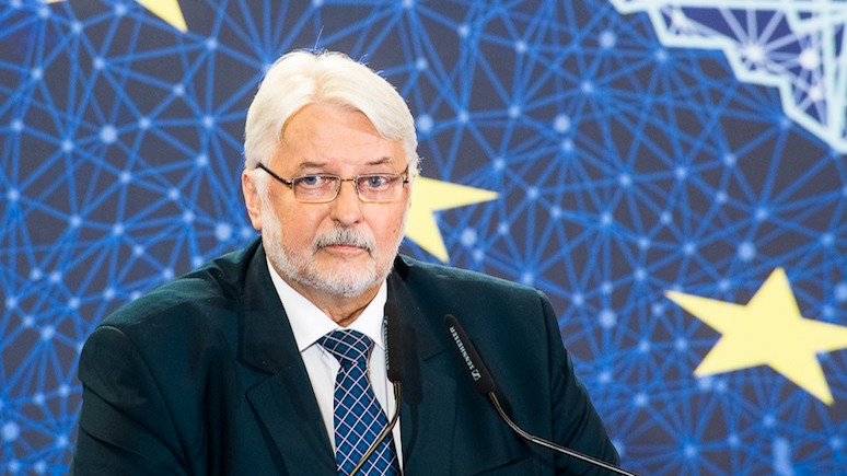 TVN24: экс-глава МИД Польши предвидит «схватку» между ЕС и Россией за Белоруссию 
