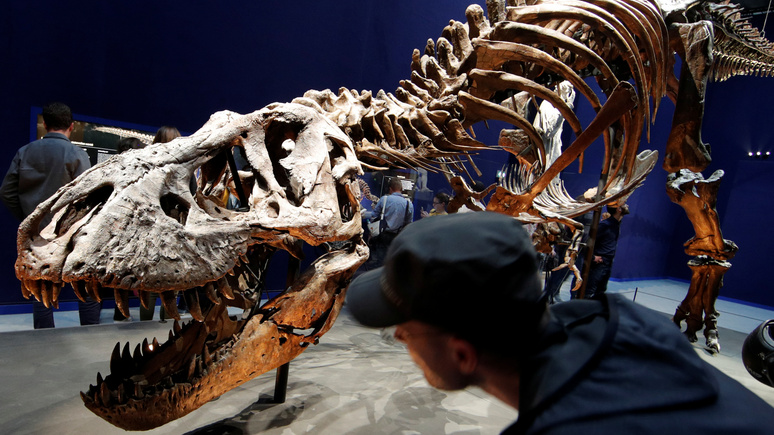 Le Monde: скелет тираннозавра в гостиной — учёные возмущены новым увлечением богачей