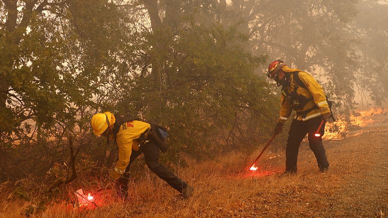 Der Spiegel: борющаяся с лесными пожарами Калифорния попросила помощи из-за границы