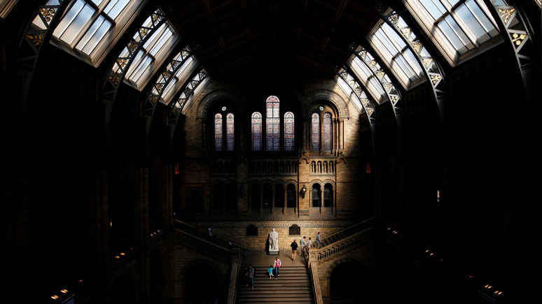 Daily Mail: лондонский музей проверит Дарвина на расизм