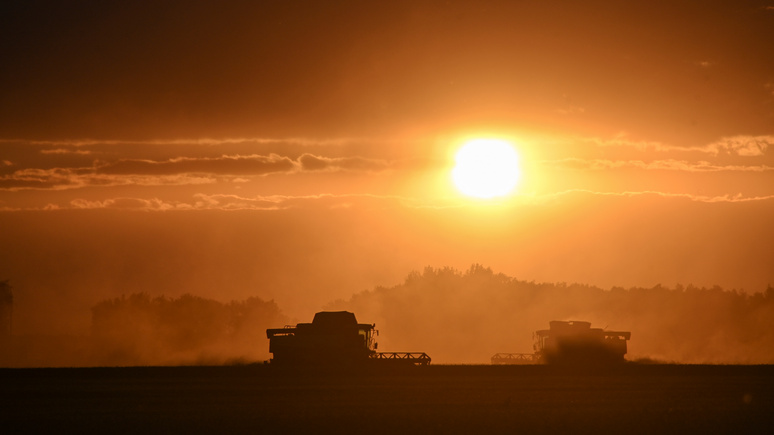 Bloomberg: Пакистан закупит у России зерно для борьбы с инфляцией