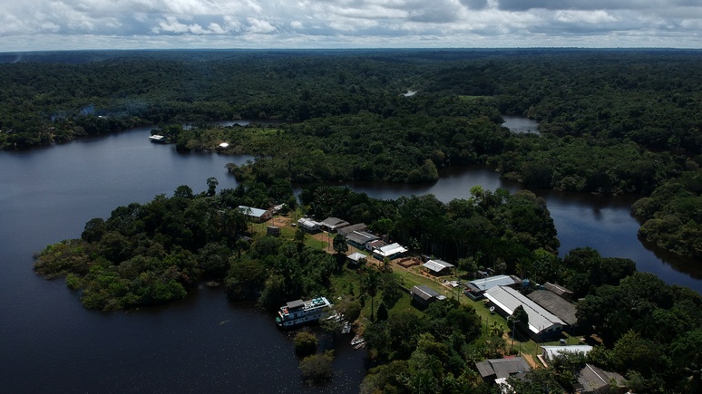 Guardian: джунгли Амазонии скоро могут превратиться в саванну