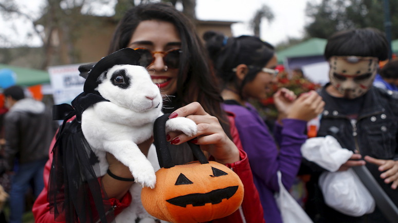 BI: пытаясь найти повод для радости в пандемию, американцы скупают костюмы на Хэллоуин для питомцев