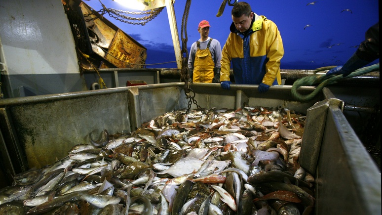 Telegraph: в переговорах между Британией и ЕС наметился прорыв по вопросу рыболовства