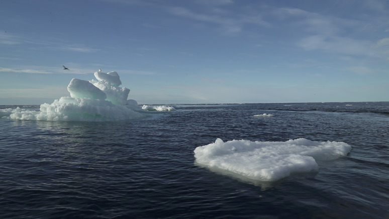 NYT: казалось невообразимым — учёные опасаются, что потепление в Арктике грозит миру катаклизмами