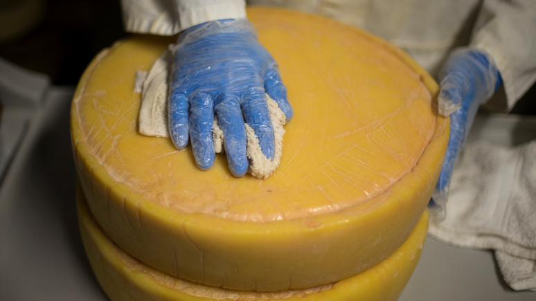 Daily Mail: американские учёные рекомендовали сыр и вино для профилактики Альцгеймера