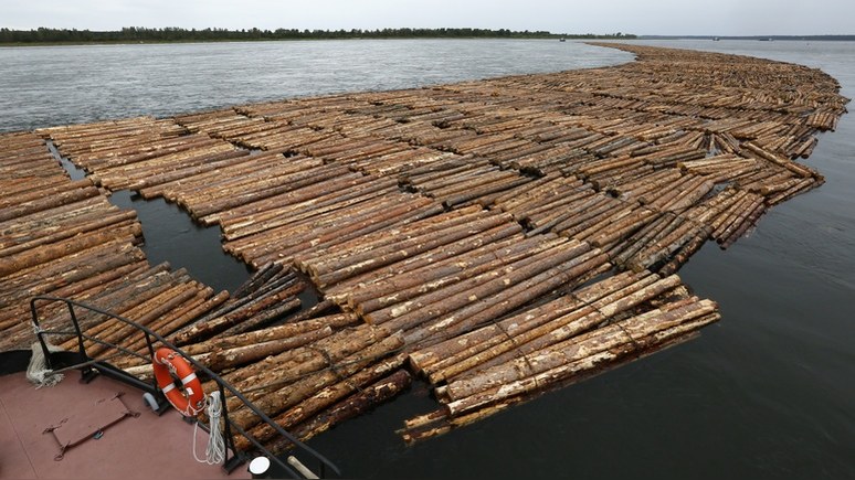 Guardian: в строительных магазинах Европы нашли незаконно вырубленный лес из России