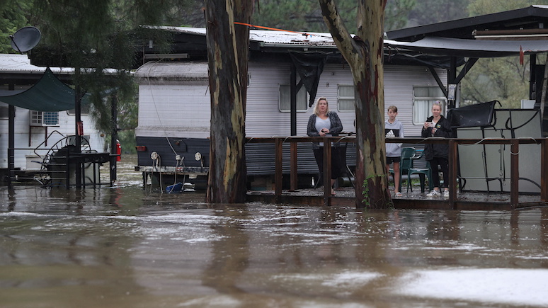 CNN: наводнение в Австралии вызвало нашествие пауков и змей