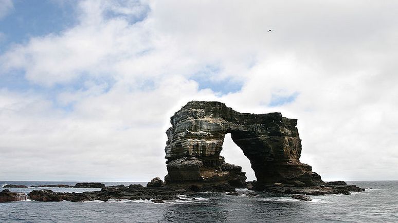 Newsweek: на Галапагосских островах упала знаменитая скала Арка Дарвина