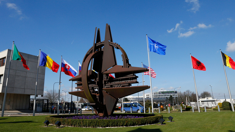 Обозреватель WSJ: НАТО — расколотый альянс, который рискует превратиться в «очередную говорильню»