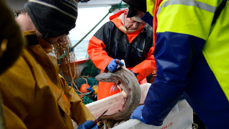 DE: отказ Норвегии делиться рыбными богатствами привёл британцев в ярость