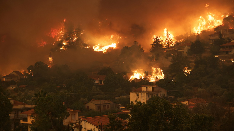 Die Welt: пожары в Греции дают Германии знак о необходимости вложиться в защиту от катаклизмов